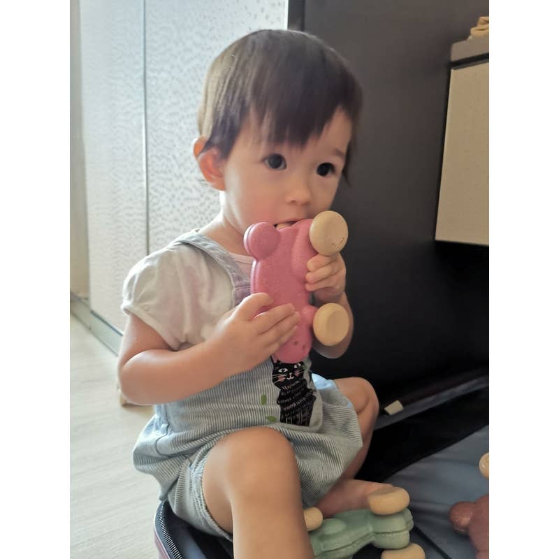 Push Along Bunny - Pink