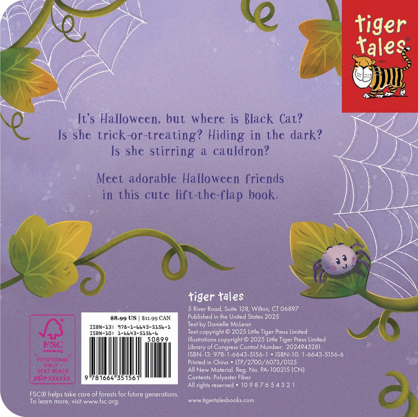 Can You Find The Black Cat? Board Book