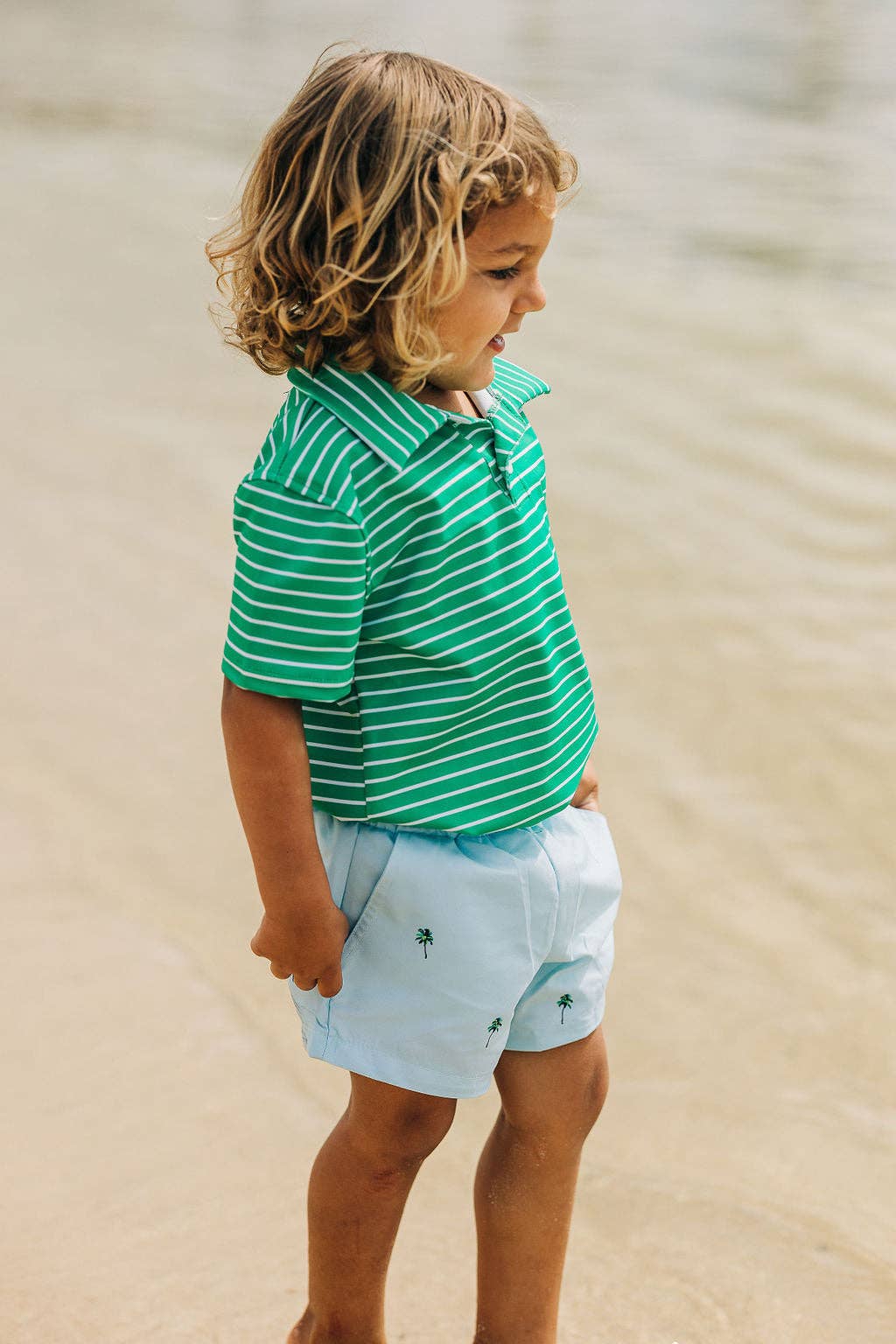 Palm Trees Shorts