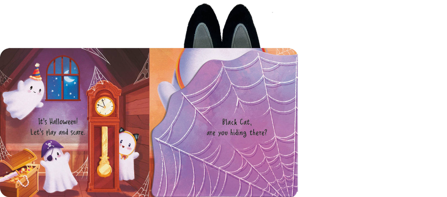 Can You Find The Black Cat? Board Book