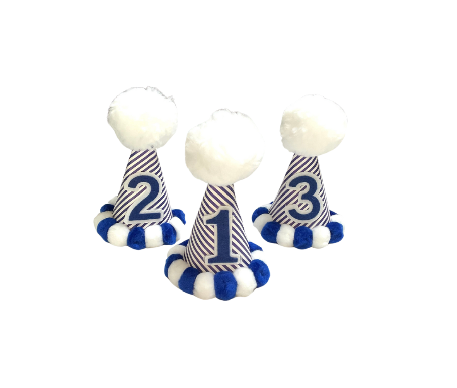 Blue Stripe Party Hat