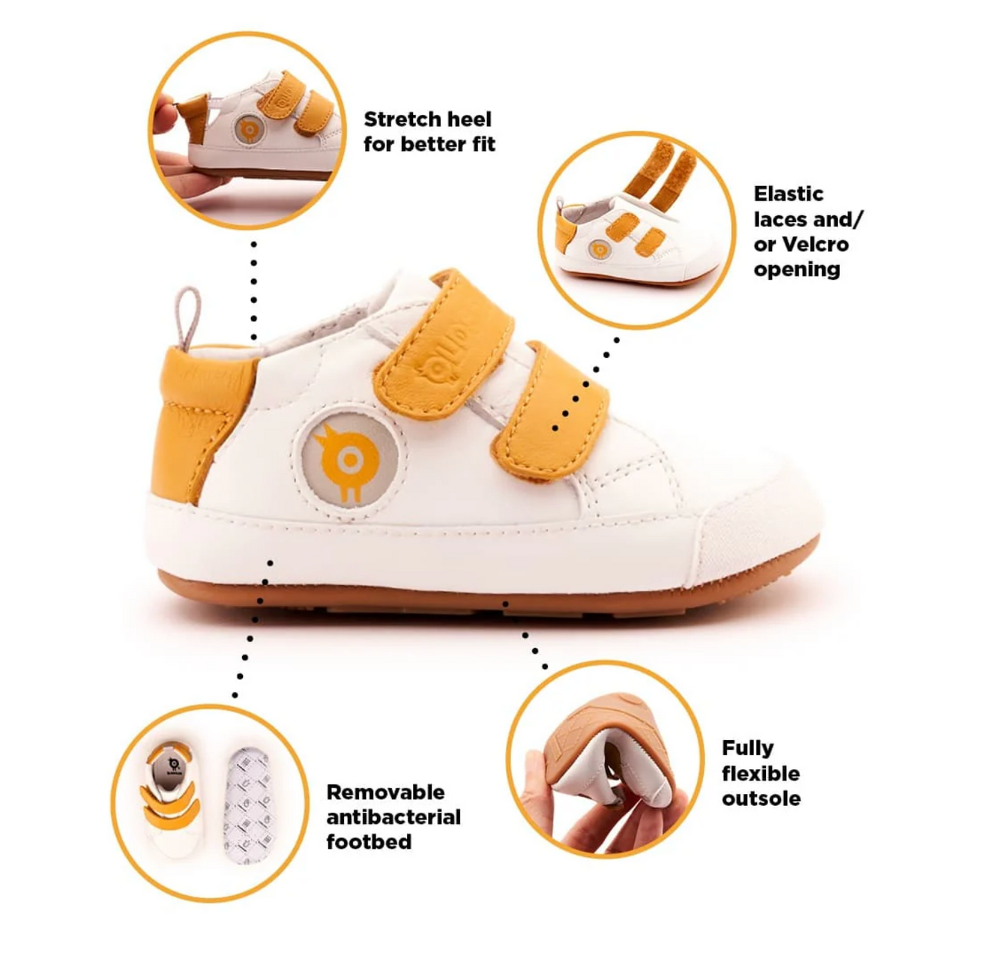 Emerald Green Spruce Bub