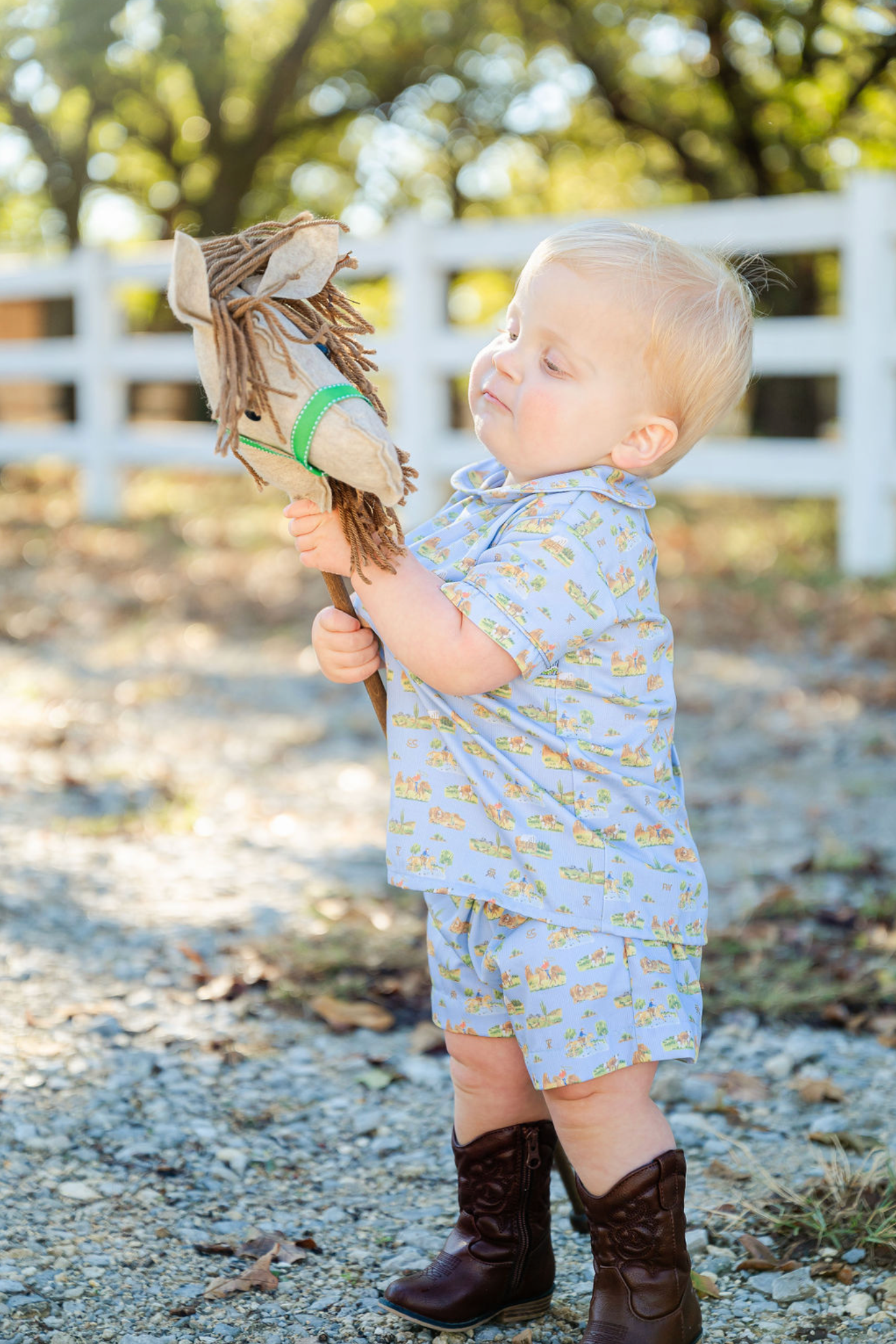 Ruth and Ralph Western Toile Samuel Set