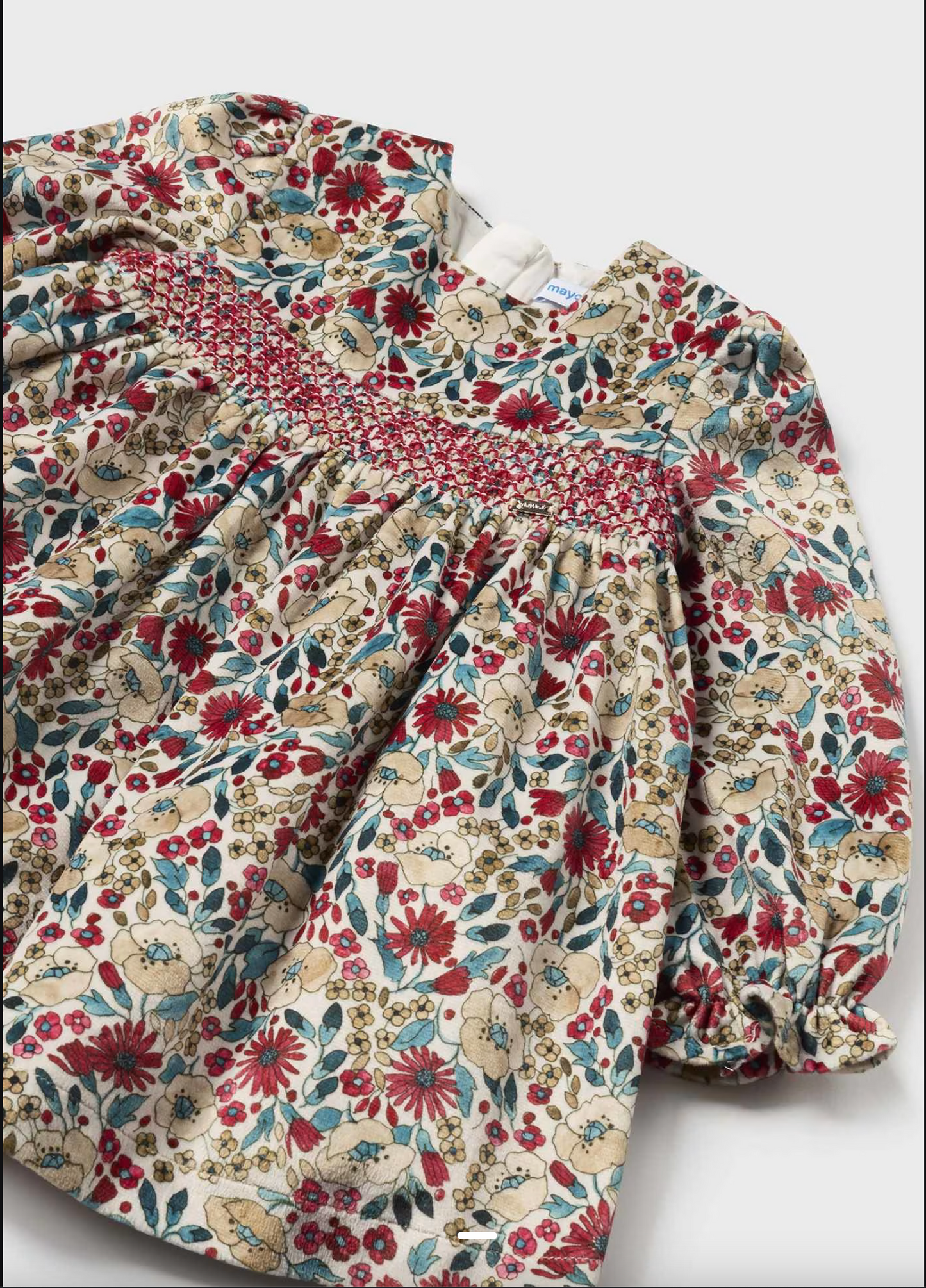 Holiday Floral Velvet Dress
