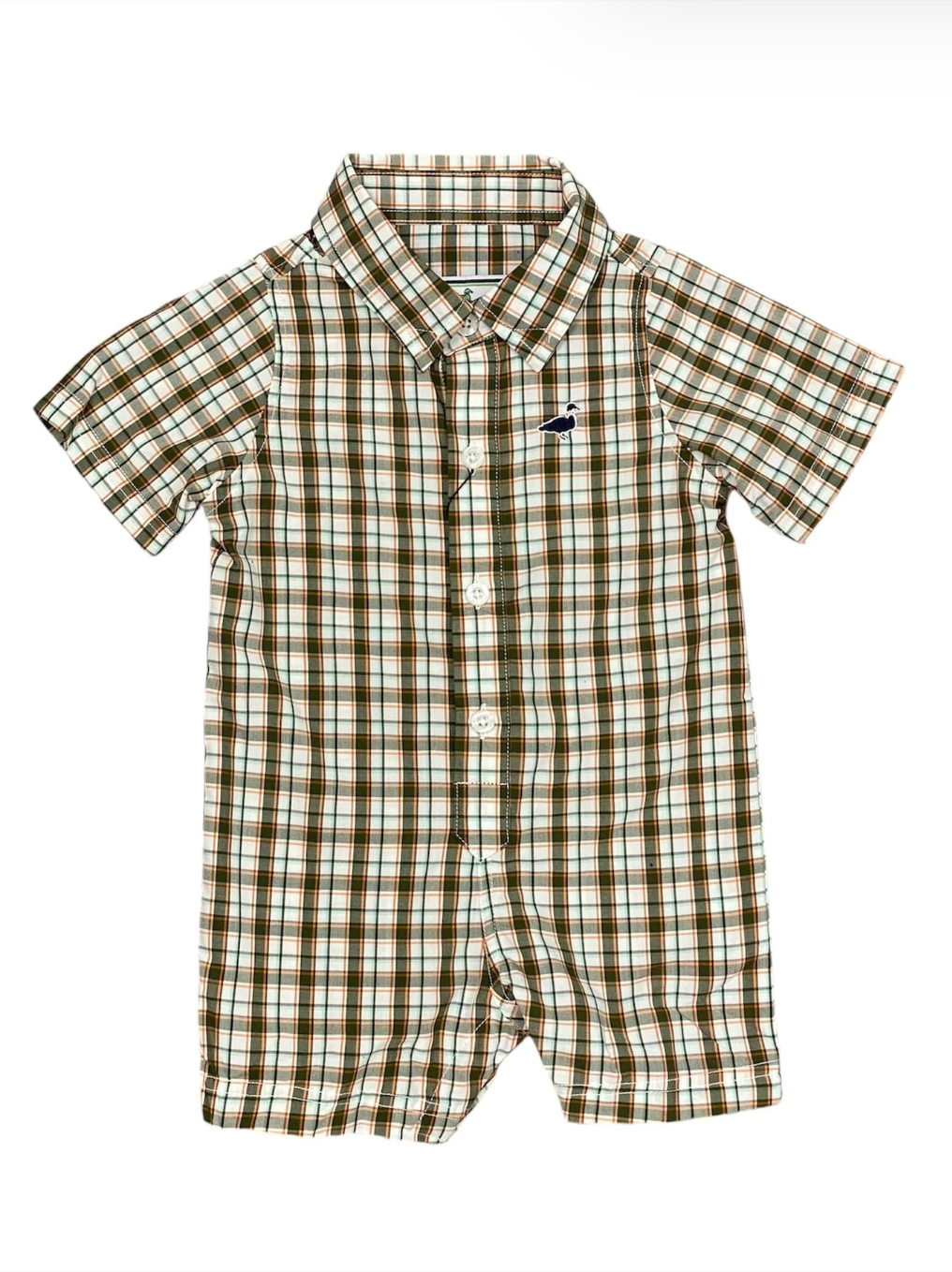Olive Grove Shortall