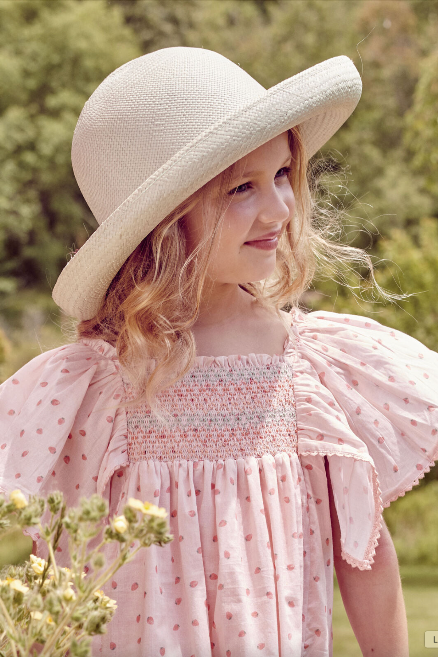 Fraises Sophie Dress