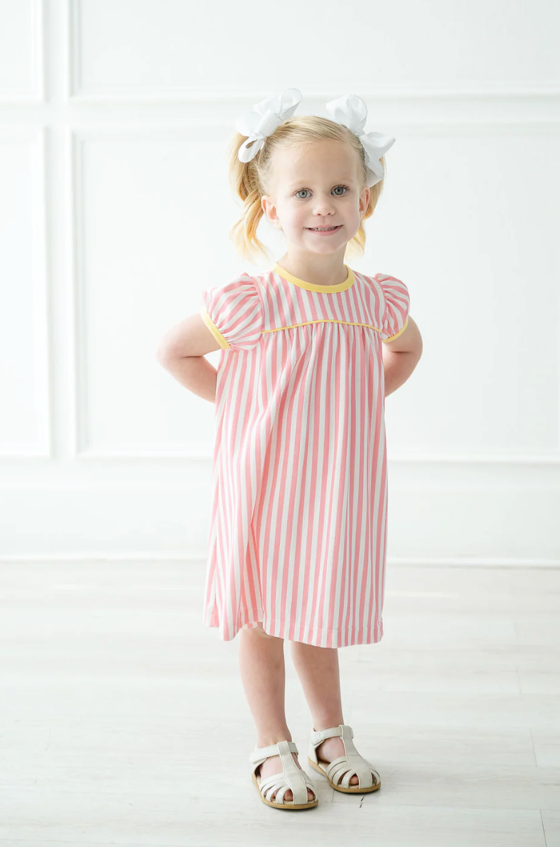 Pink Lemonade Catherine Dress – Southern Stork Baby and Children's