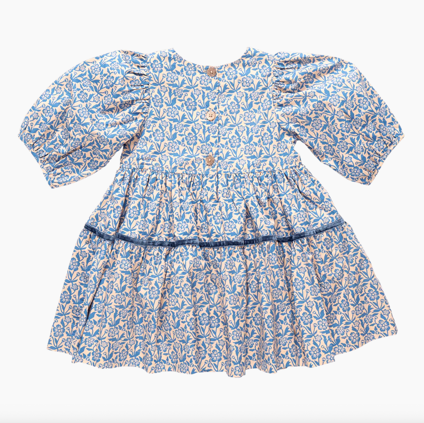 Pink Chicken Girls Maribelle Dress - Blue Climbing Floral