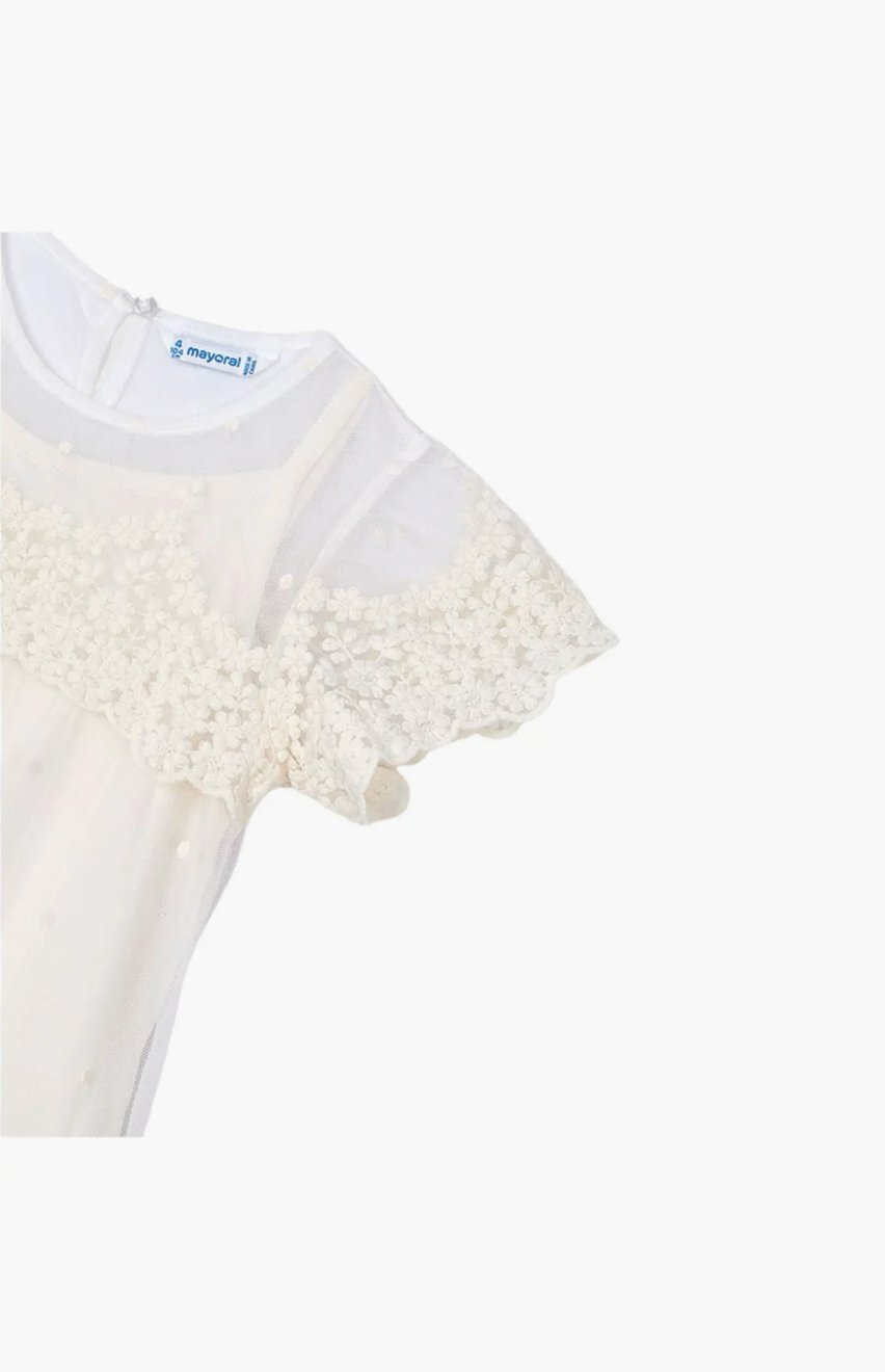 Embroidered Ivory Tulle Dress