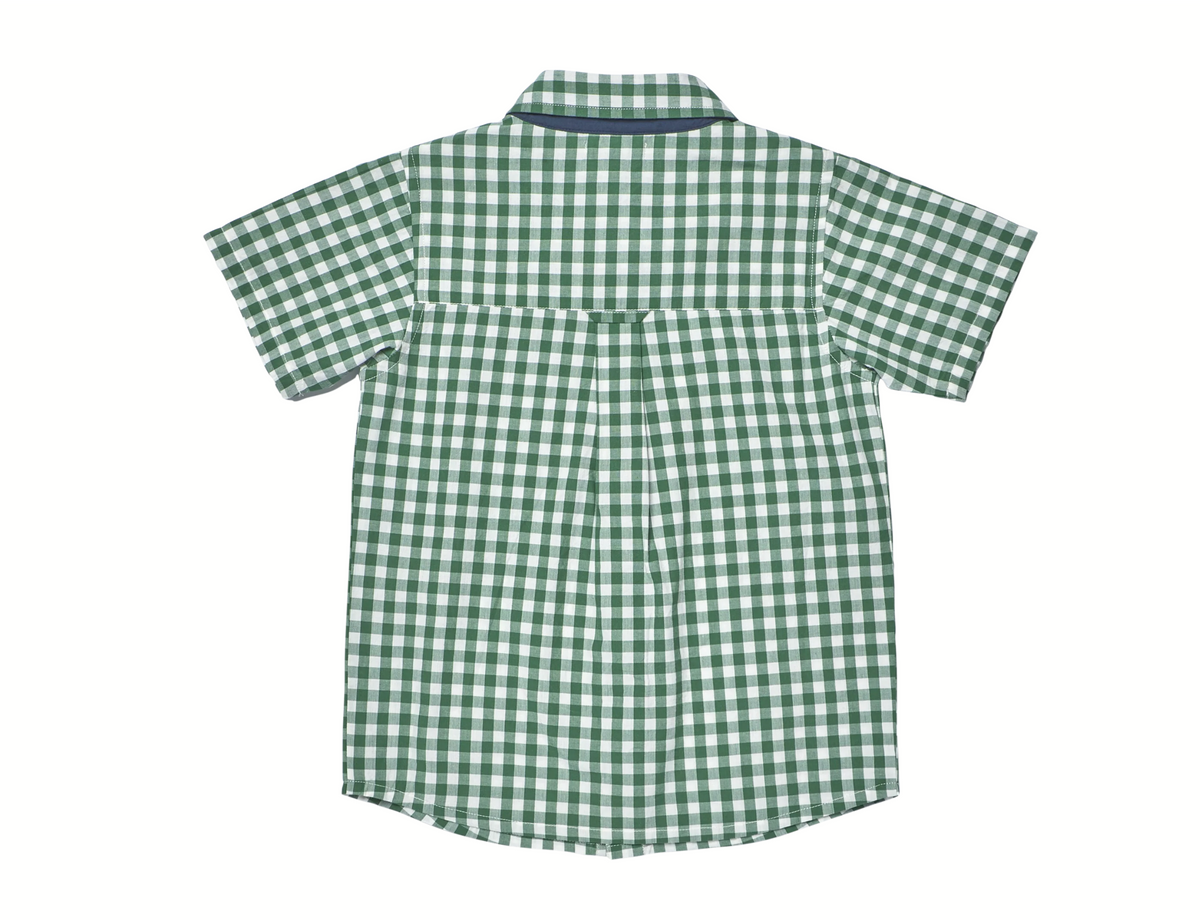 Pink Chicken Boys Jack Shirt - Green White Check