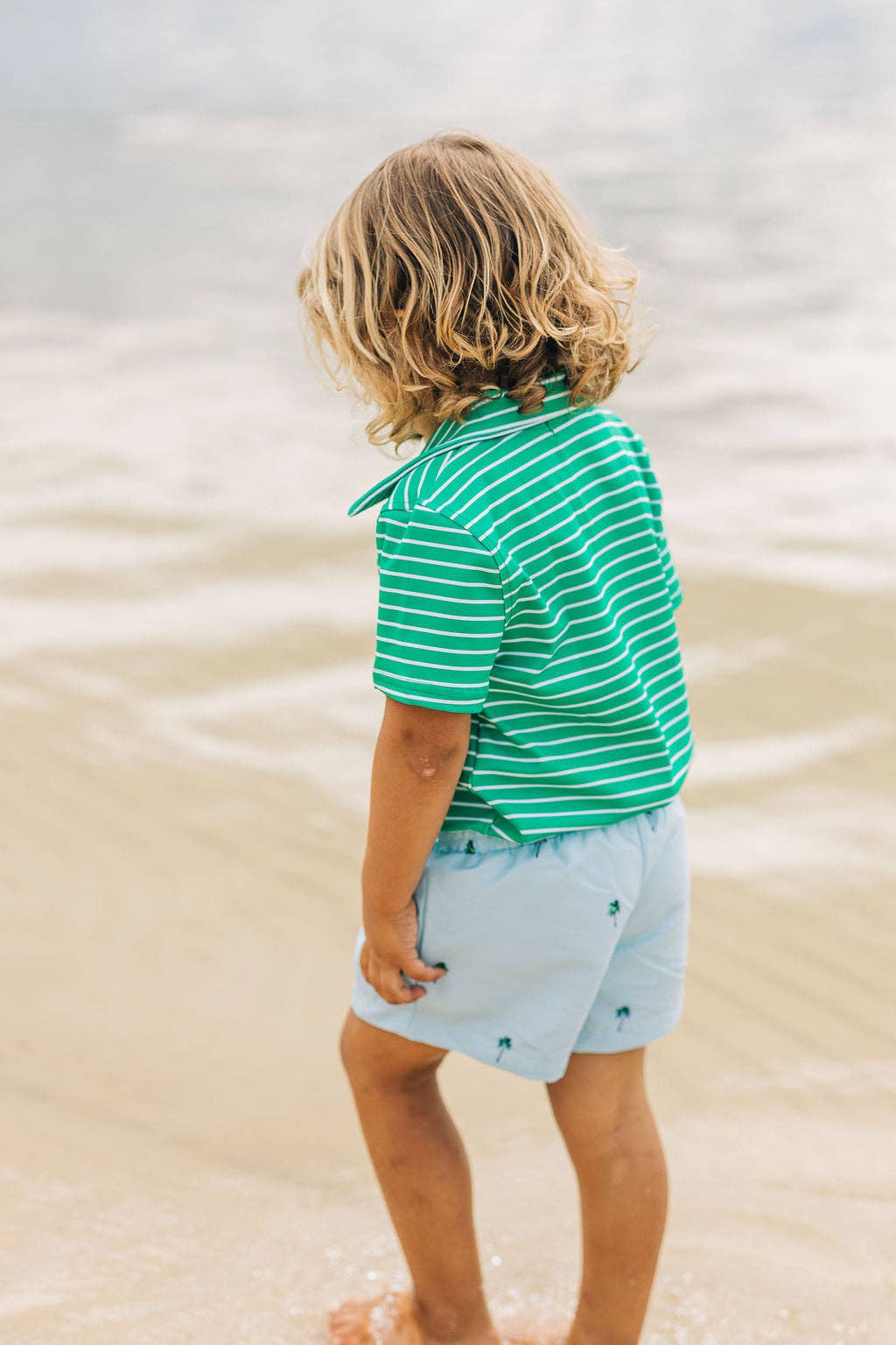Palm Trees Shorts