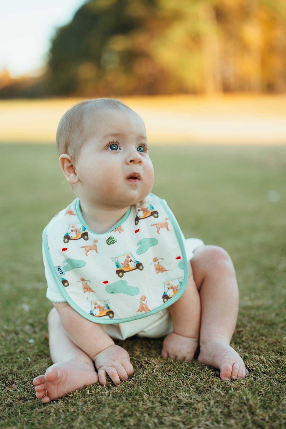 Barks & Birdies Bib Set