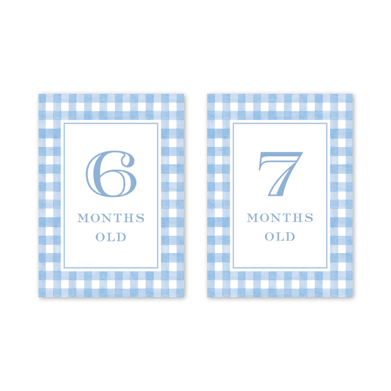 Cavalier Garden Gingham Blue Milestone Cards
