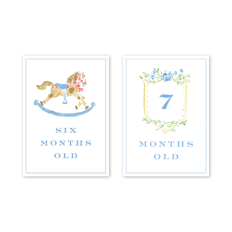 Joys of Boys Milestone Cards