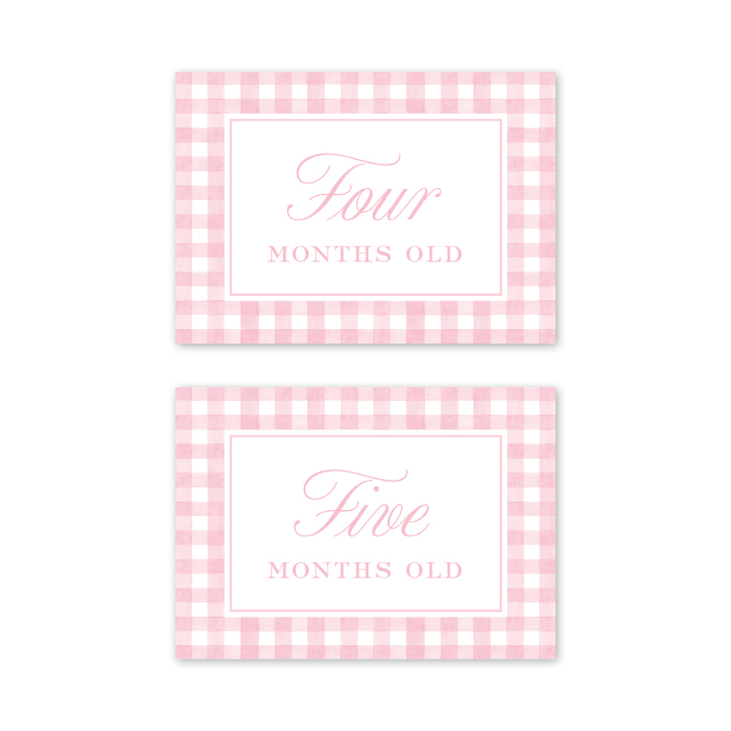 Cavalier Garden Gingham Pink Milestone Cards