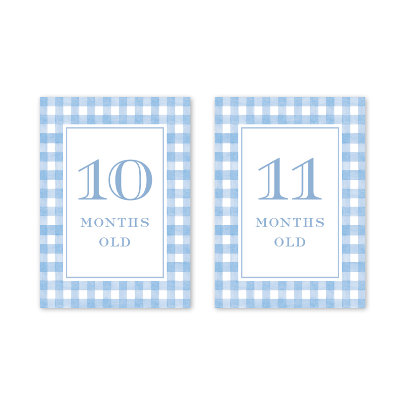 Cavalier Garden Gingham Blue Milestone Cards
