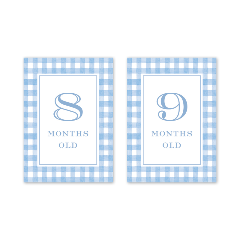 Cavalier Garden Gingham Blue Milestone Cards