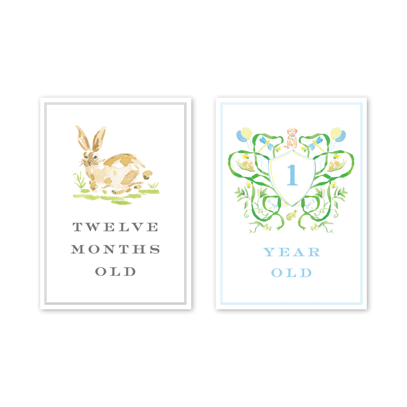 Joys of Boys Milestone Cards