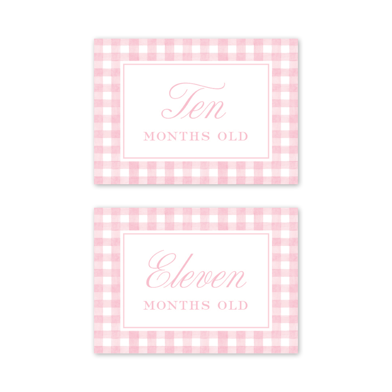 Cavalier Garden Gingham Pink Milestone Cards