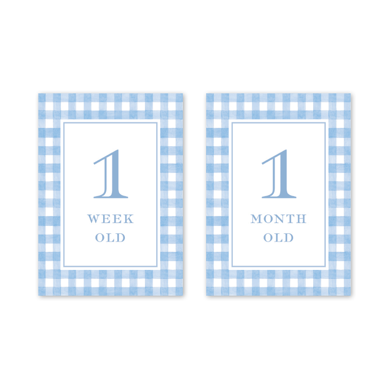 Cavalier Garden Gingham Blue Milestone Cards