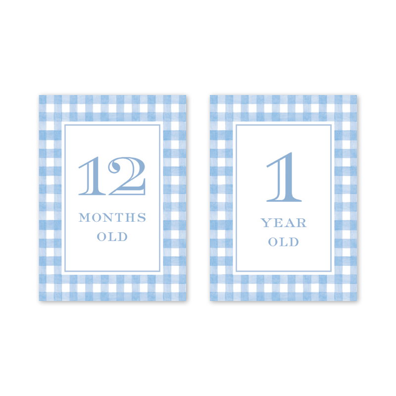 Cavalier Garden Gingham Blue Milestone Cards