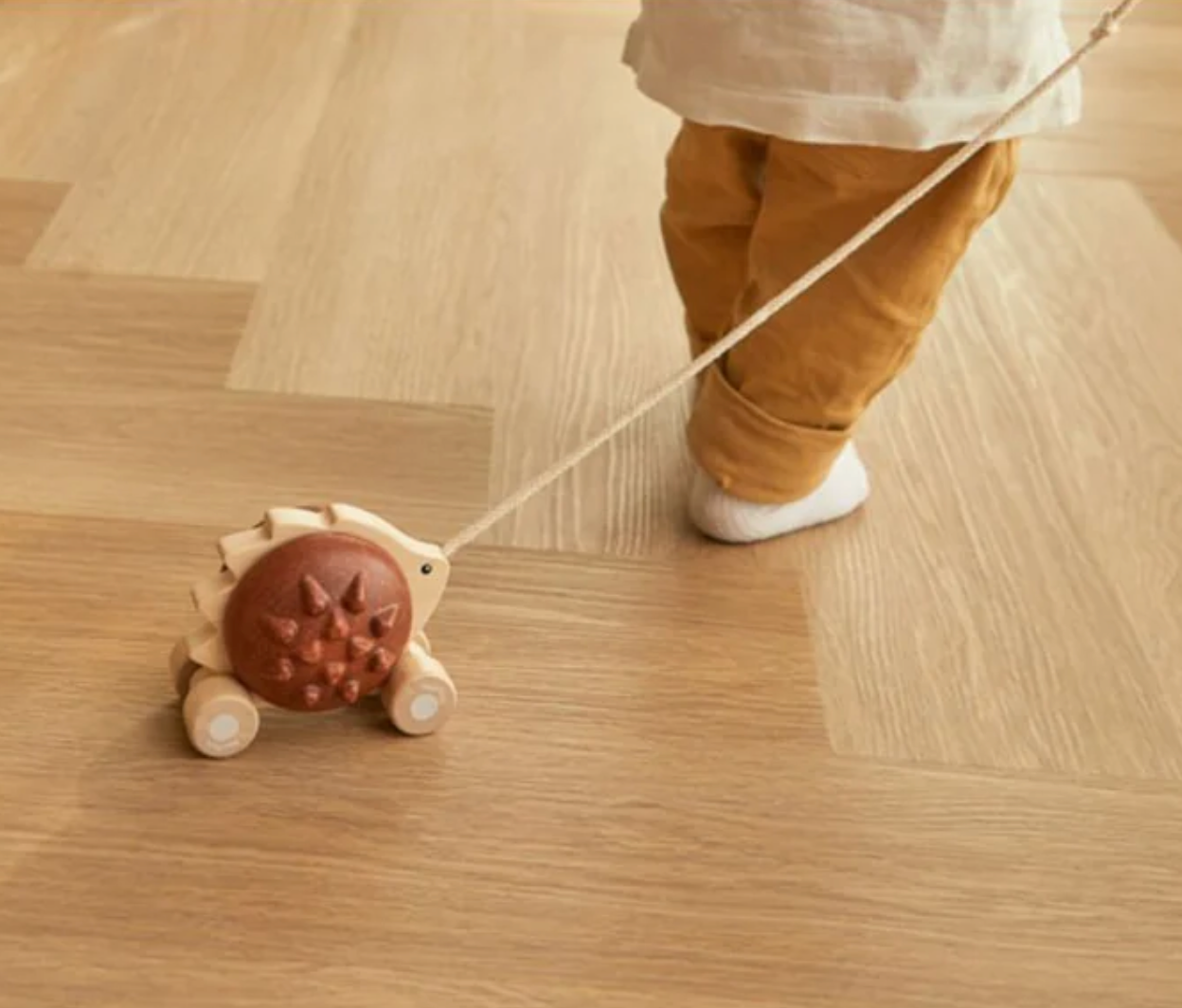 Pull-Along Hedgehog