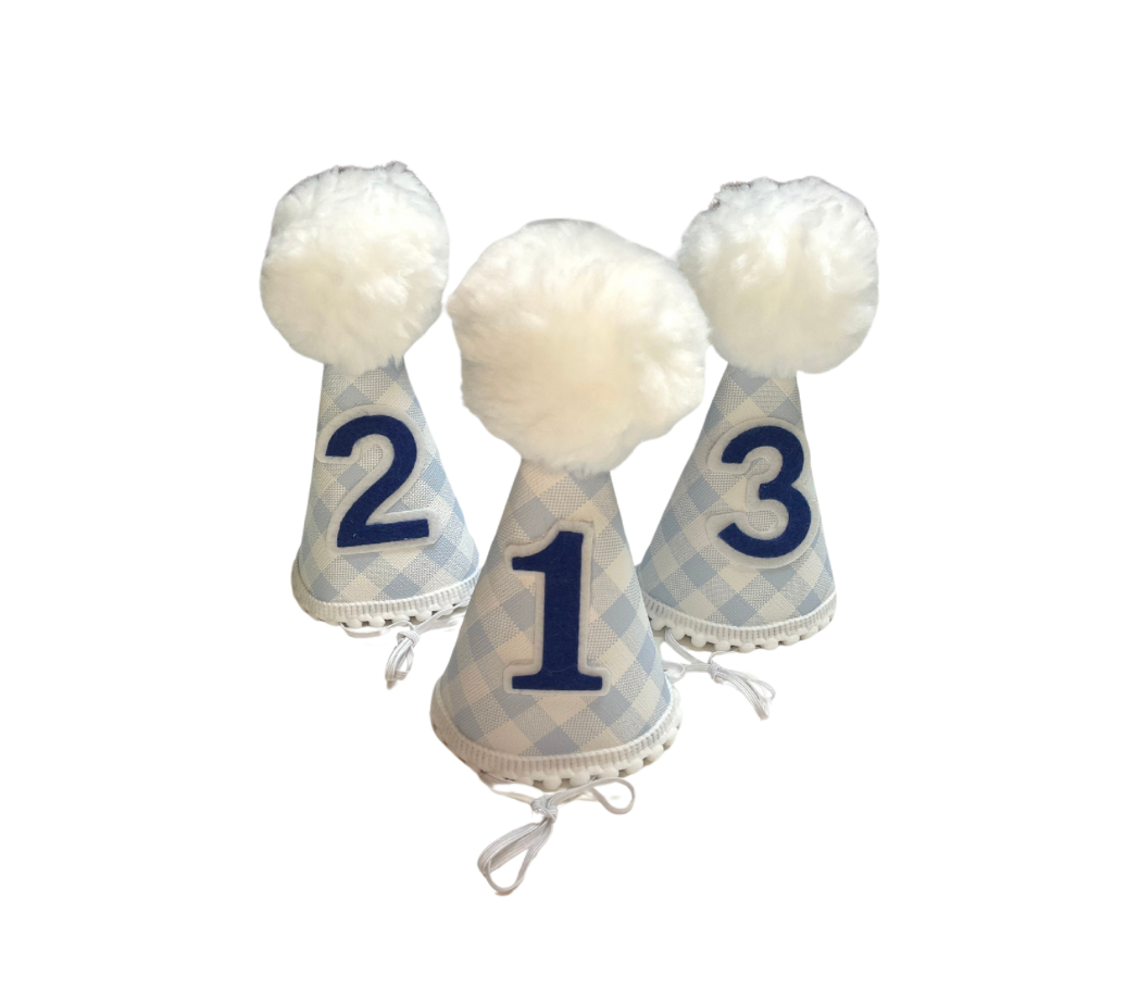 Light Blue Gingham Party Hat