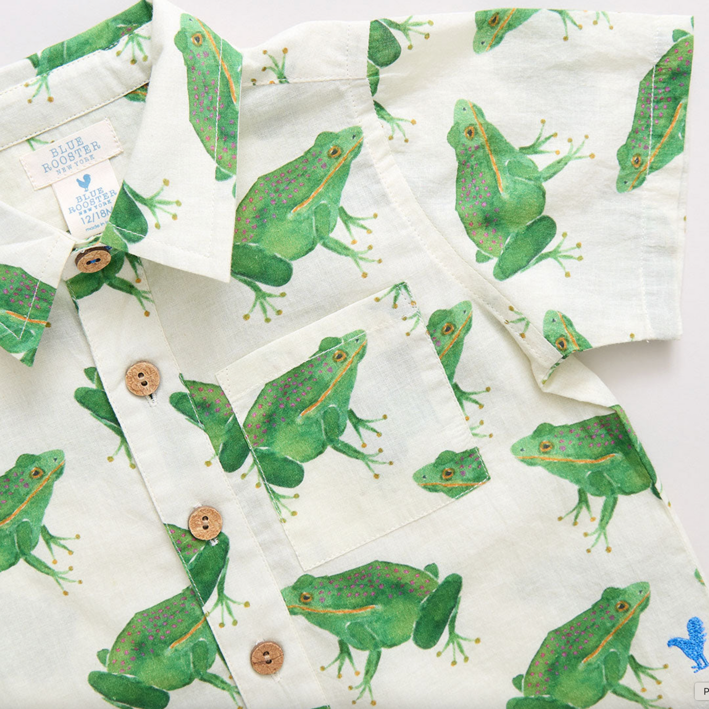 Boys Jack Shirt - Frogs