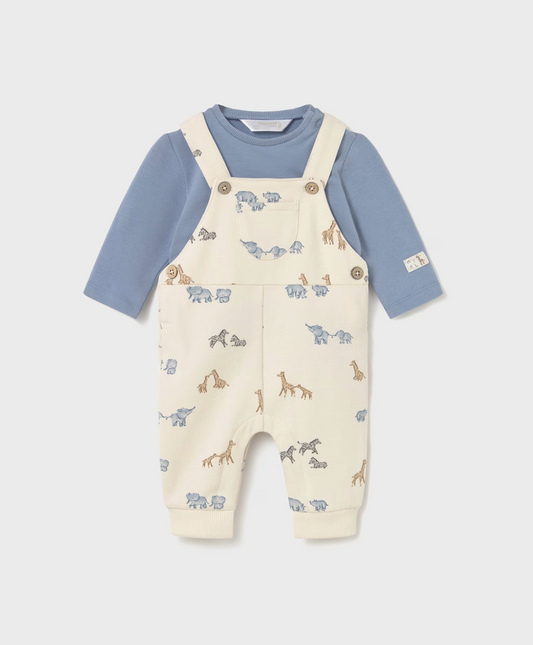 Baby Boy Printed Dungaree and T-Shirt - Blue Bell