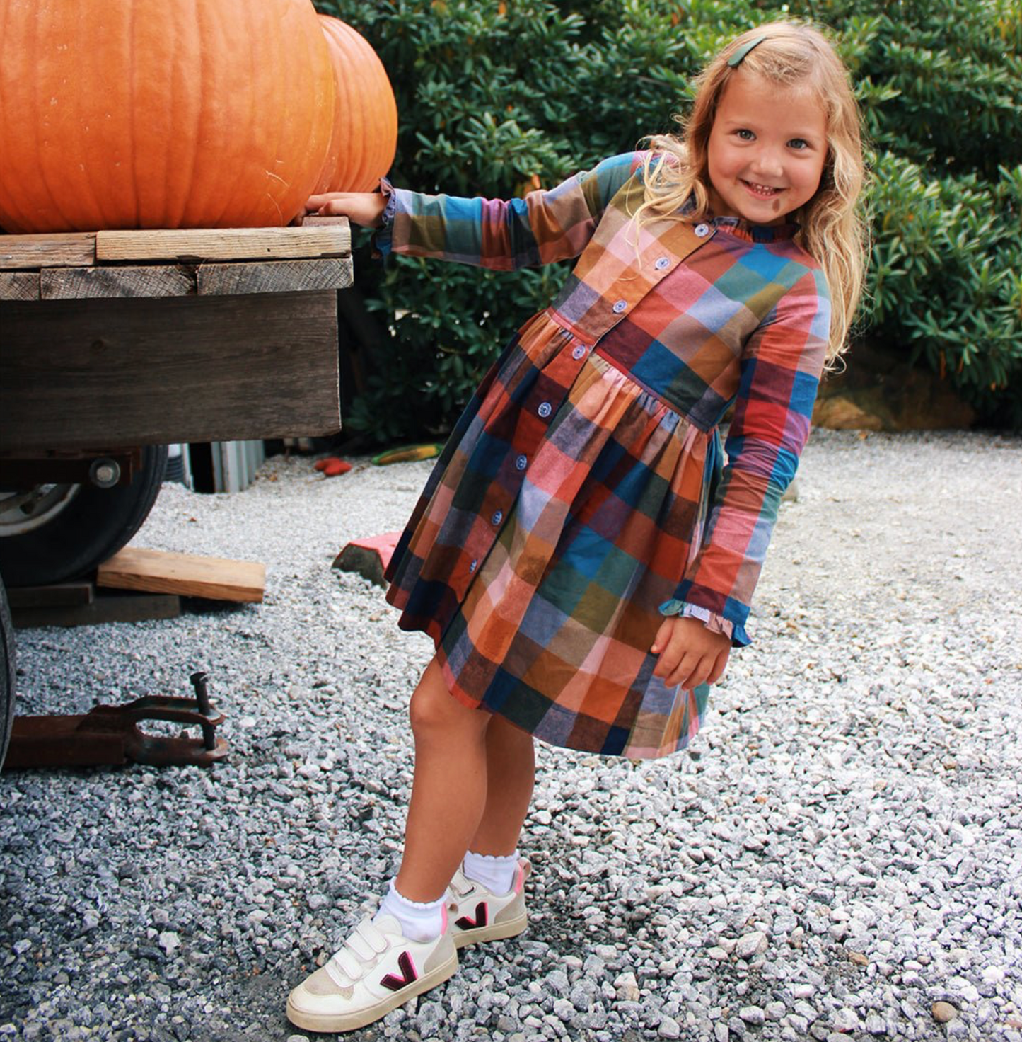 Pink Chicken Girls Autumn Dress - Harvest Check