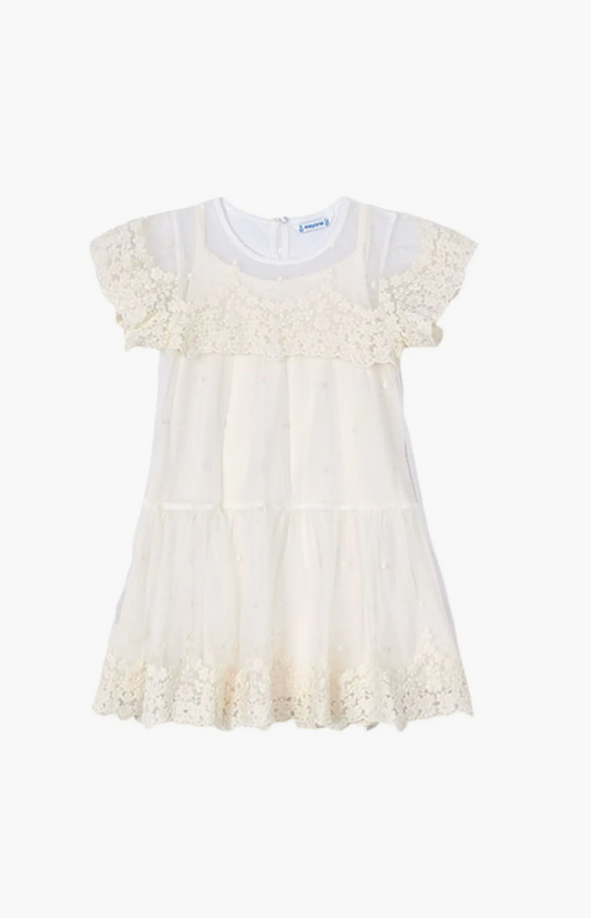 Embroidered Ivory Tulle Dress