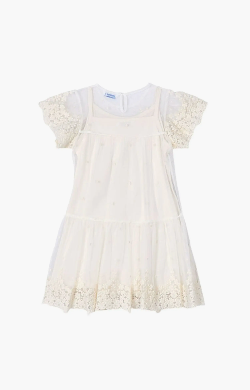 Embroidered Ivory Tulle Dress