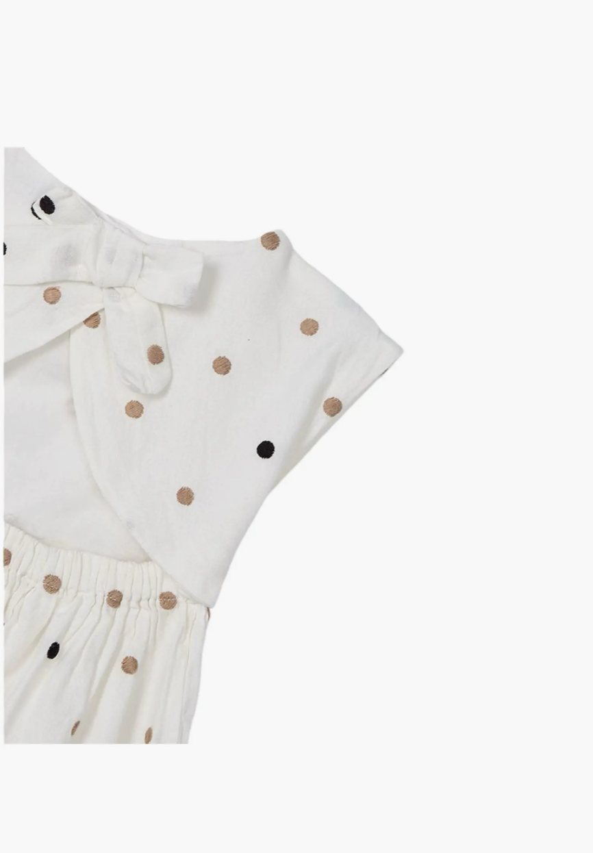 Polka Dot Embroidered Dress