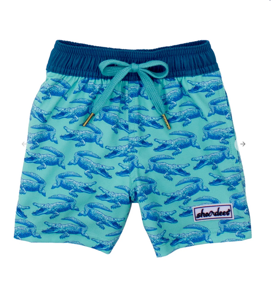 Boys Shordees Swim Trunk Chomp