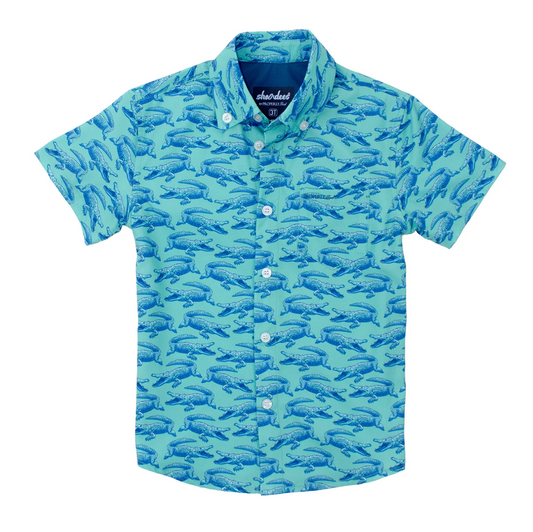 Boys Shordees Summer Shirt Chomp
