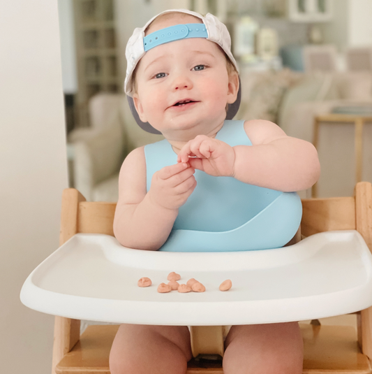 Magnetic Silicone Bib - Blueberry Burst