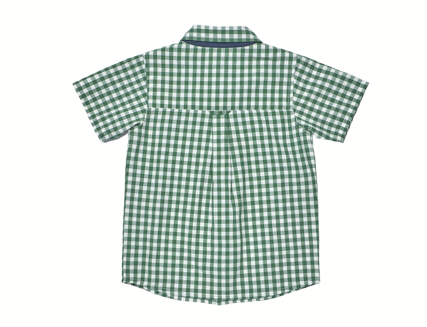 Pink Chicken Boys Jack Shirt - Green White Check