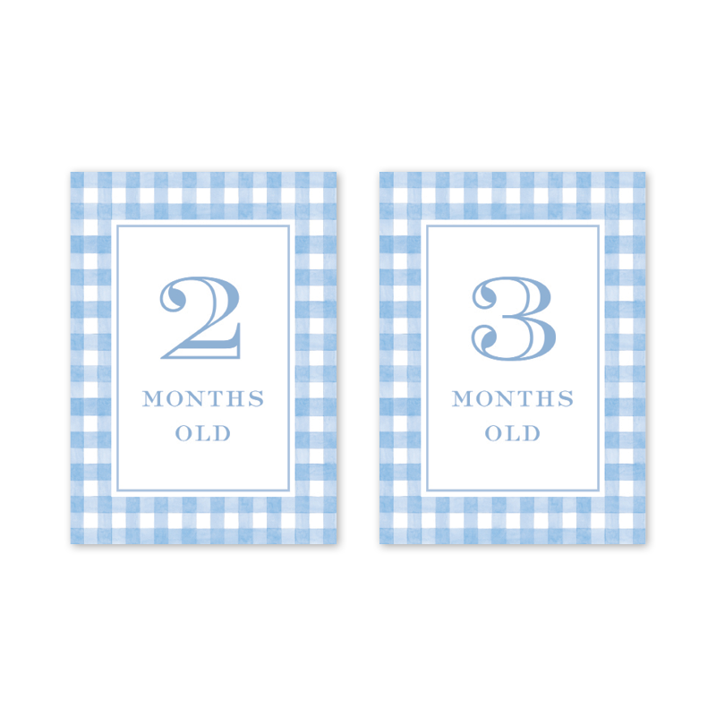 Cavalier Garden Gingham Blue Milestone Cards