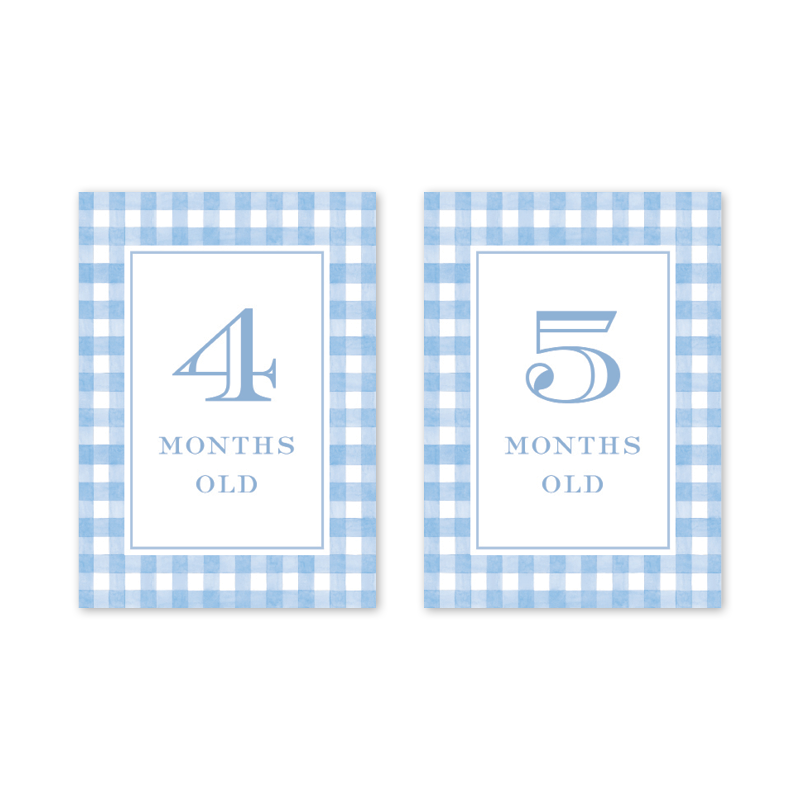 Cavalier Garden Gingham Blue Milestone Cards