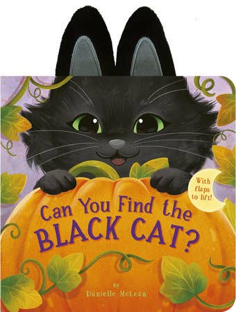 Can You Find The Black Cat? Board Book